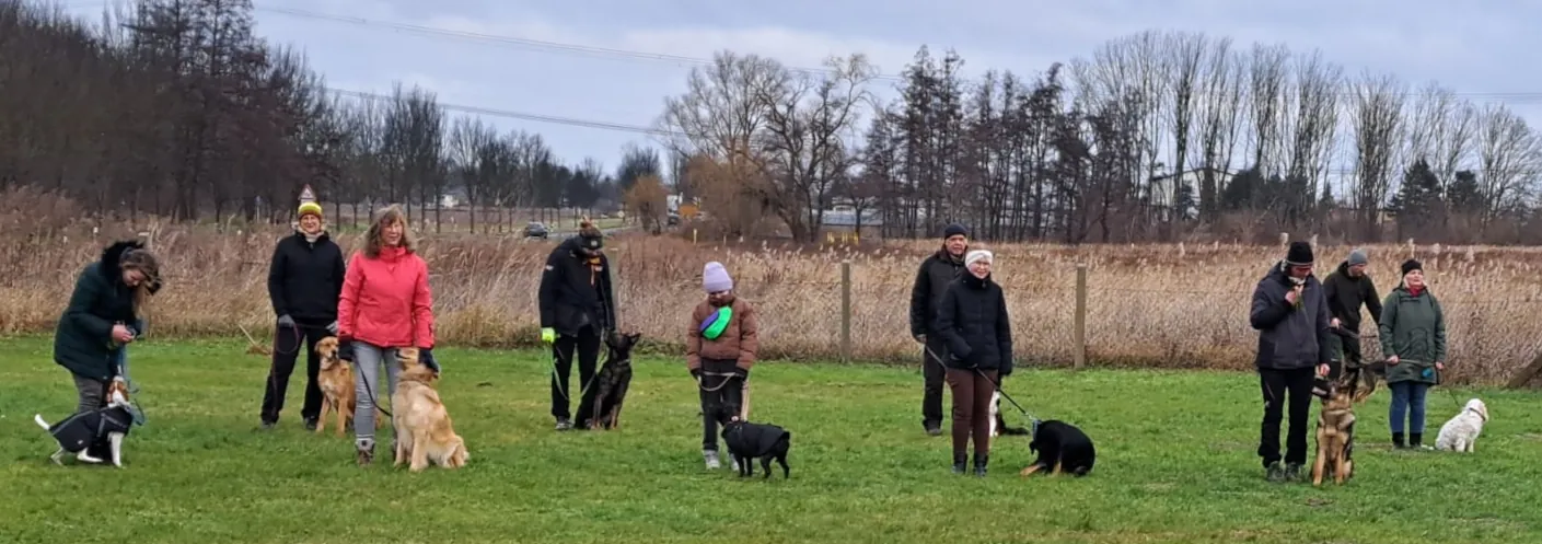 Einblick in das Training